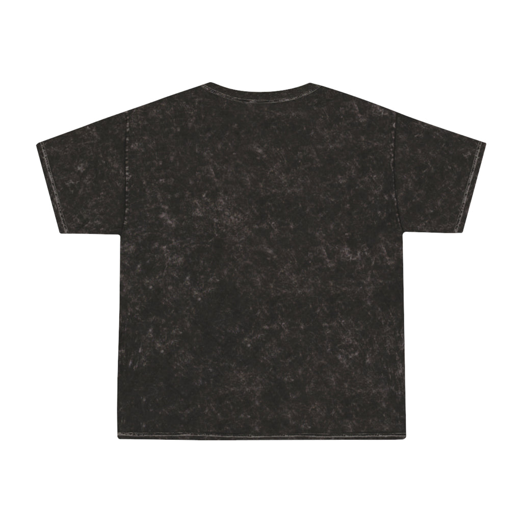 Retro Rainbow Turtles Mineral-Wash T-Shirt
