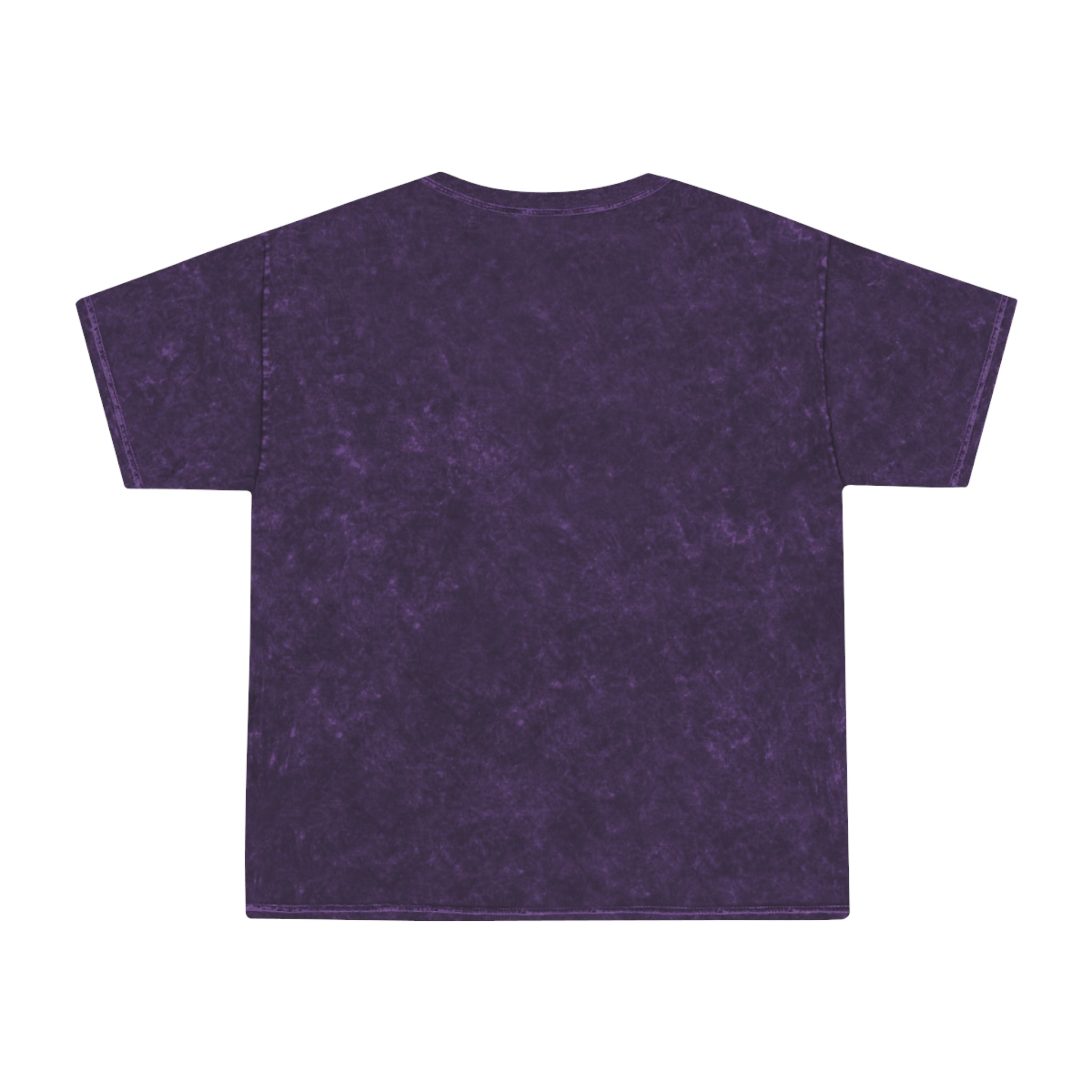 Retro Rainbow Turtles Mineral-Wash T-Shirt