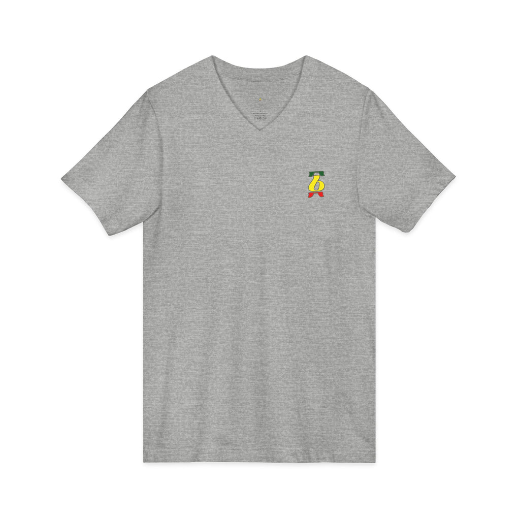 Unisex Jersey Short Sleeve V-Neck Tee
