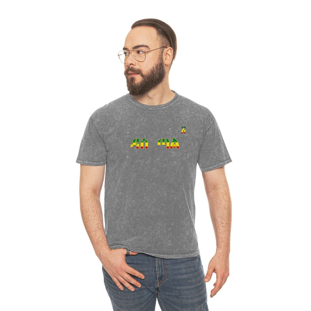 Retro Rainbow Turtles Mineral-Wash T-Shirt
