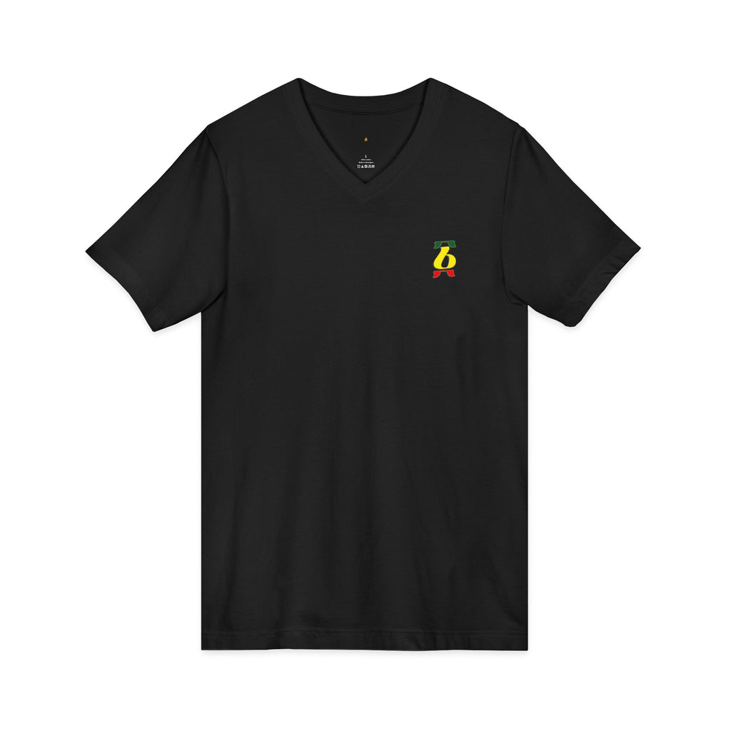 Unisex Jersey Short Sleeve V-Neck Tee