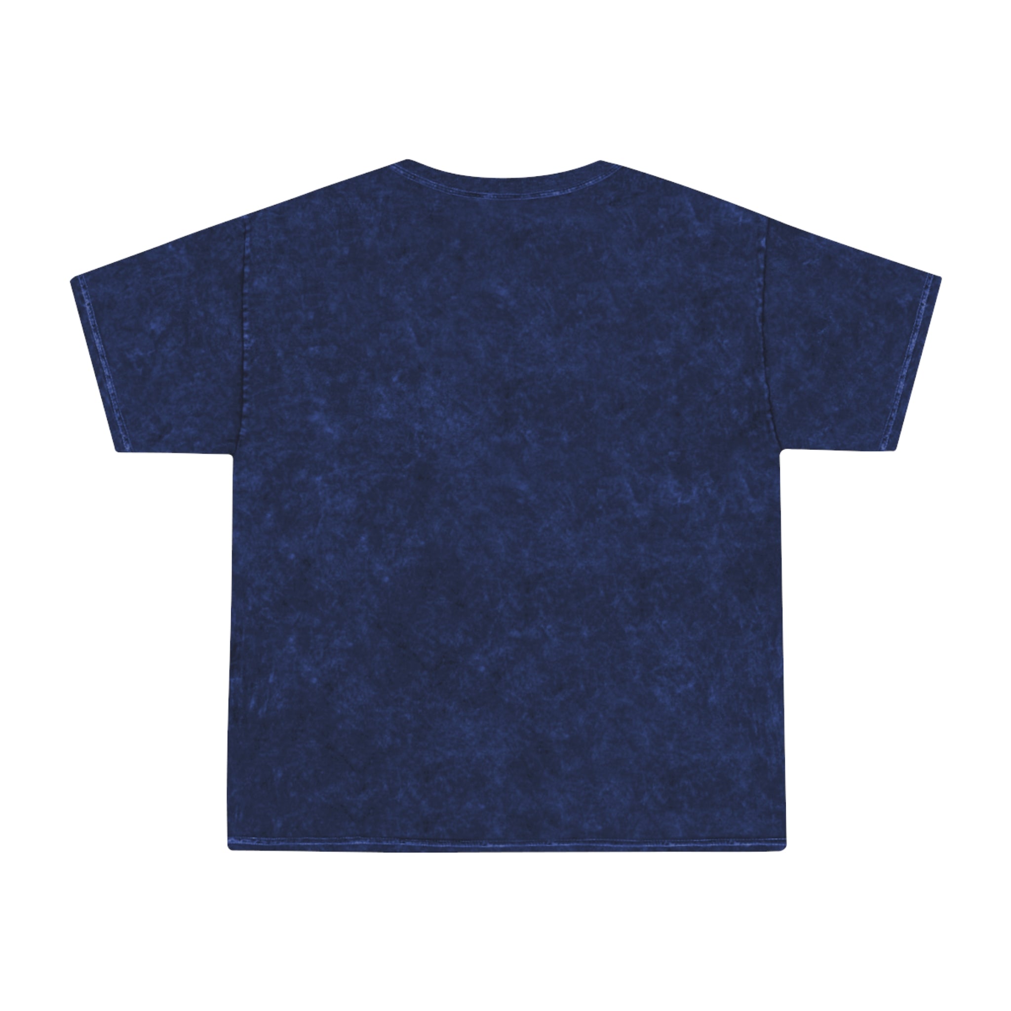 Retro Rainbow Turtles Mineral-Wash T-Shirt