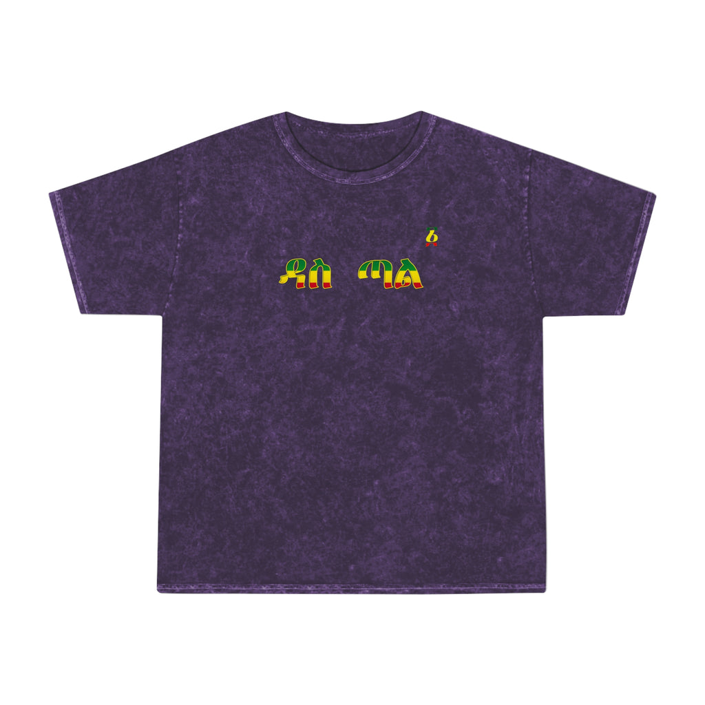 Retro Rainbow Turtles Mineral-Wash T-Shirt