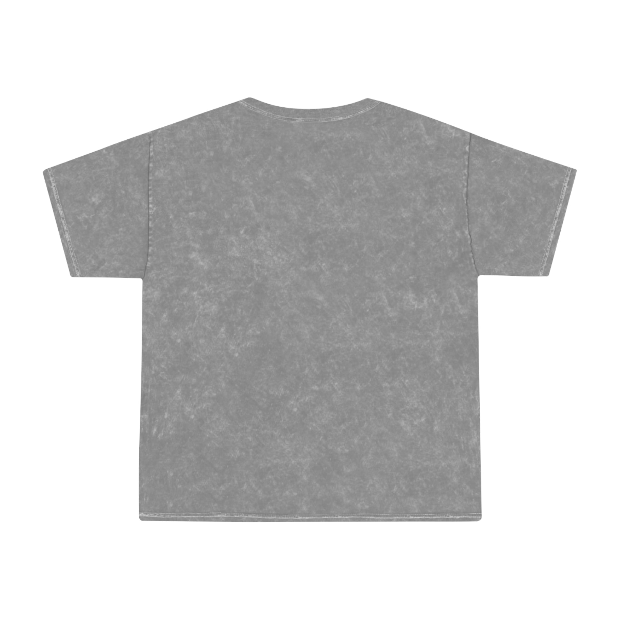 Retro Rainbow Turtles Mineral-Wash T-Shirt