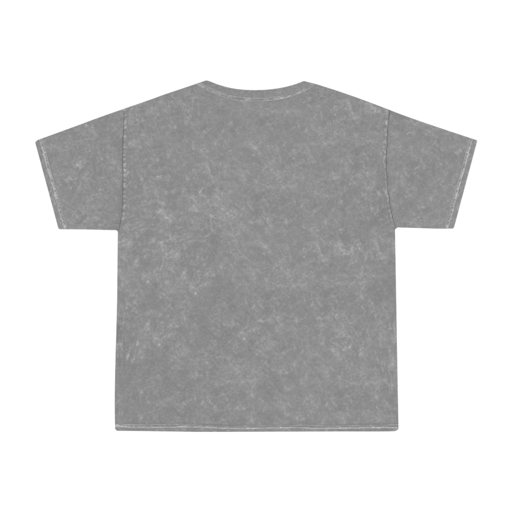 Retro Rainbow Turtles Mineral-Wash T-Shirt