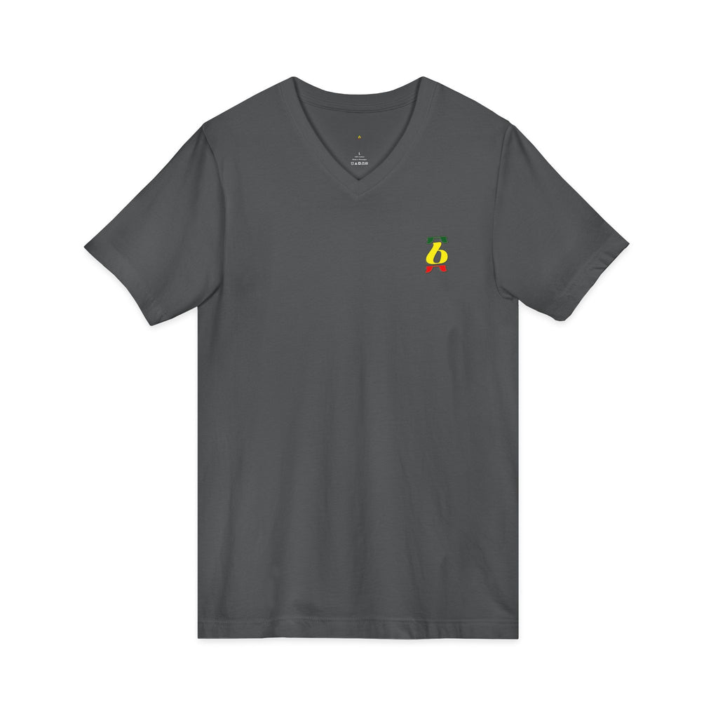 Unisex Jersey Short Sleeve V-Neck Tee