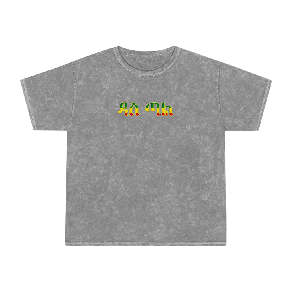 Retro Rainbow Turtles Mineral-Wash T-Shirt