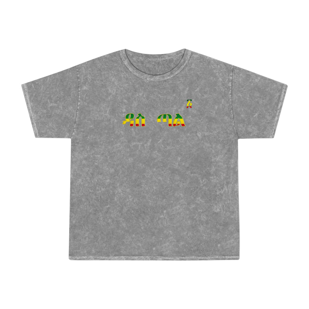 Retro Rainbow Turtles Mineral-Wash T-Shirt