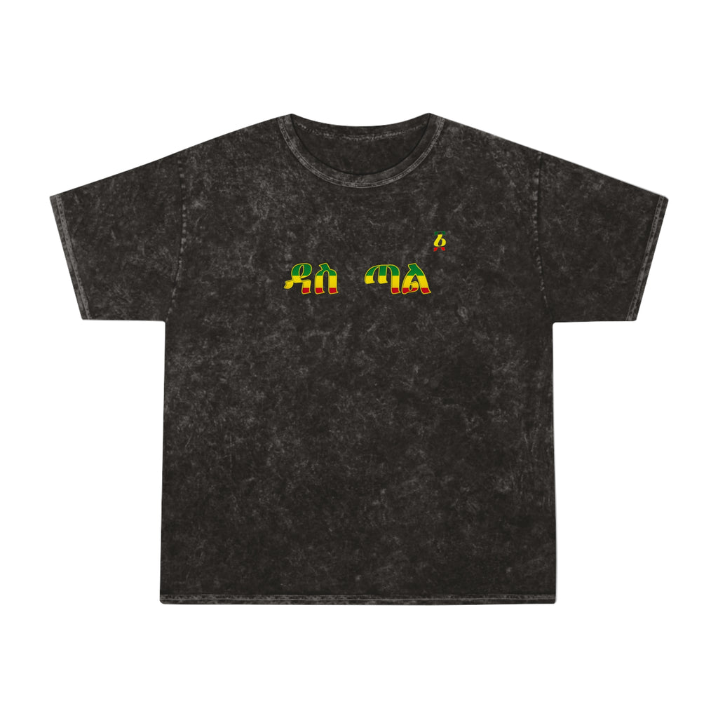 Retro Rainbow Turtles Mineral-Wash T-Shirt